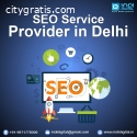 seo service provider in delhi
