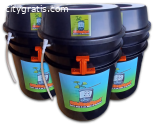 5 gallon bucket hydroponic system