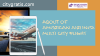 About of American Airlines Multi City Fl
