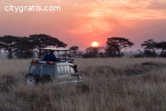 African Safari Adventures: Into the Hear