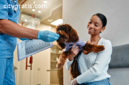Aiding the Pet Groomers: Where Can You