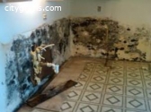 American Home Restoration