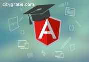 Angular Js Development USA