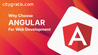 AngularJs Development Services Baltimore