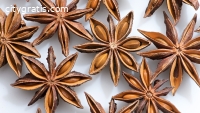 Anise Seed Essential Oil: