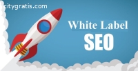 Are You Looking For White Label SEO Serv