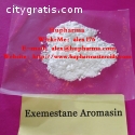 Aromasin Anti Estrogen Exemestane