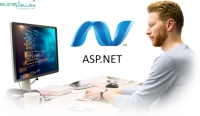 ASP.Net development India