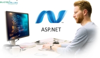 ASP.Net development India