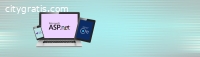 ASP.Net Programming Services