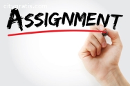 Assignment Experts: The Ultimate Solutio