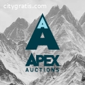 auctions Eagle River ak