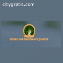 Auto insurance agency