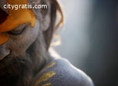 Bangalore Shimoga Baba - Contact Number
