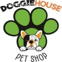 Beagle Puppy for Sale Dallas