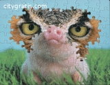 Beautiful Puzzles