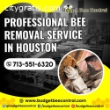 Bee Extermination Houston