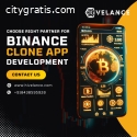 best binance clone app developer