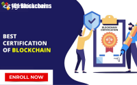 Best Blockchain Certification for Profes