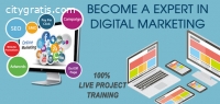 Best Digital Mktg Course in Vadodara