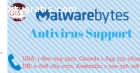 Best Malwarebytes Antivirus Support