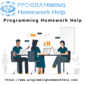 Best programming homework help