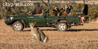 Best Safari Lodges in South Africa