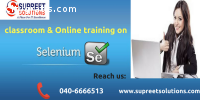 Best Selenium Online Training Institute