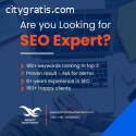 Best SEO Expert in Delhi