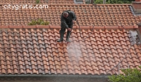 Best Service For Terracotta Roof Demoss