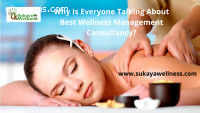 Best Wellness Management Consultancy