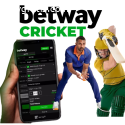 Betting tips for IPL cricket betting.