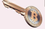 Bitcoin private key recovery tool