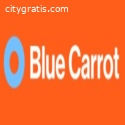 Blue Carrot | Digital Marketing Agency