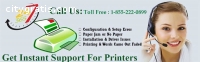 Brother Printer Support Phone Number