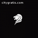 Buer Interactive - Houston Website Desig