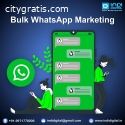 Bulk WhatsApp Marketing