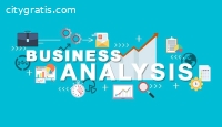 Business Analysis Online Training India