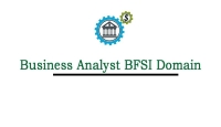 Business Analyst BFSI Domain  Training