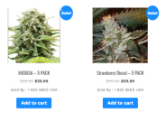 Buy Cannabis seed USA Online 2023