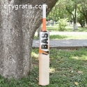 Buy Cricket Bats Online | Cricket Bat