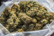Buy Hybrid Weed UK online 2023