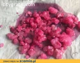 buy SGT-151 SGT-263 FAB-144,4F-ADB,5F-AD