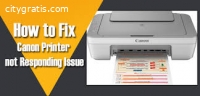 Canon Printer Not Responding