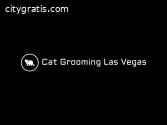 Cat Grooming Las Vegas