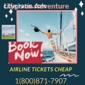 Check Airfare Deals on Airline Tickets