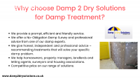 Choose Damp 2 Dry Solutions for Damp Tre