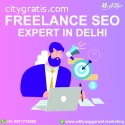Choose the best freelance seo expert in