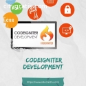 CodeIgniter Web Development