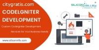 Codelgniter Web Development India